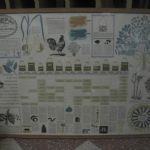 471 8172 Kryddschema